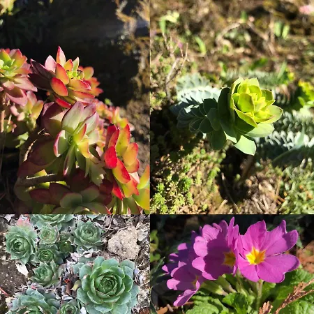 Pasquier * Vienne (Isere)