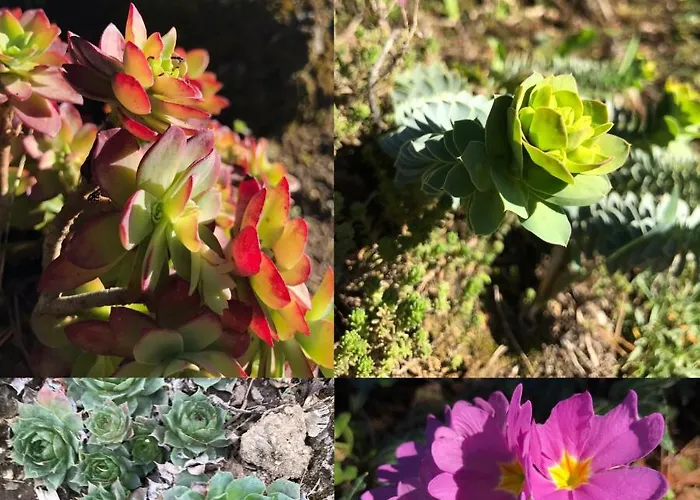 Pasquier * Vienne (Isere)